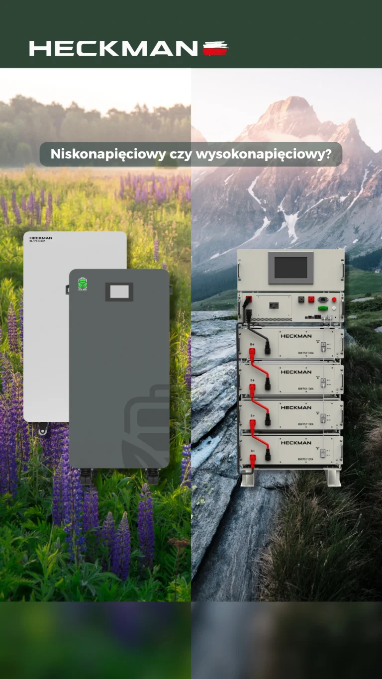 Low or High Voltage Energy Storage? Recommendations for Homes and Businesses